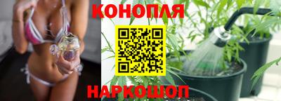 мескалин Камышлов