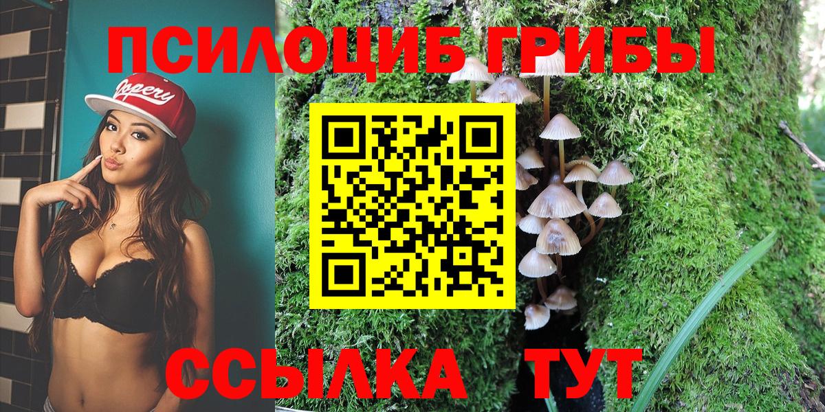 Галлюциногенные грибы GOLDEN TEACHER Шелехов